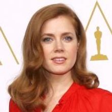 Fashion Photo of the Day 2/13/14 - Amy Adams