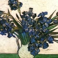 Iris String Quartet to Play Metropolitan Playhouse, 11/26