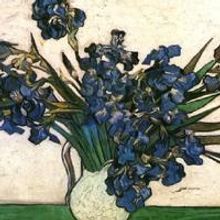 Iris String Quartet to Play Metropolitan Playhouse, 11/26