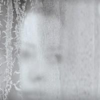 O'Hanlon, Cox, Hinds and Kirwan Announced For Donmar's McPherson Plays, April 2013