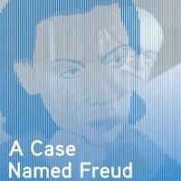BWW Reviews: A CASE NAMED FREUD Completes Savyon Liebrecht's Trilogy Photo