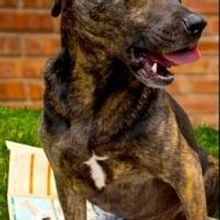 Next Theatre Extends EVERYTHING IS ILLUMINATED thru April 14