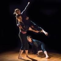 Tersa Fellion, Teddy Tedholm and More Set for Green Space, Feb 2014