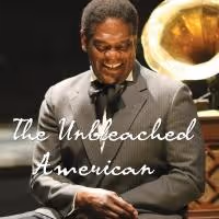 Stoneham Theatre to Present THE UNBLEACHED AMERICAN, 4/10-27