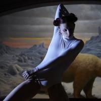 Karole Armitage to Premiere New Work at the American Museum of Natural History, 3/25