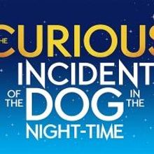 The National Theatre's THE CURIOUS INCIDENT OF THE DOG IN THE NIGHT–TIME Resumes Run…