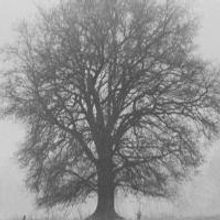 Open Fist Theatre Remounts THE DEAD at Greenway Court Theatre, Beg. Tonight