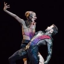 BWW Reviews: Houston Ballet's FOUR PREMIERES is a Celebration of Choreography