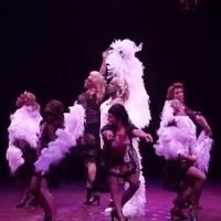 STAGE TUBE: First Look at Brent Barrett, Alan Mingo Jr., Kevin Cooney and More in…