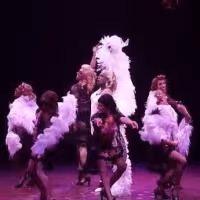 STAGE TUBE: First Look at Brent Barrett, Alan Mingo Jr., Kevin Cooney and More in… Video