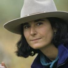 National Geographic Live Presents THE HIDDEN LIFE OF WOLVES on 10/16 at Ikeda Theatre