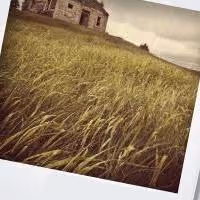 Profile Theatre's BURIED CHILD Begins Tonight