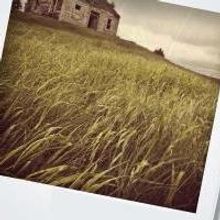 Profile Theatre to Present BURIED CHILD, Begin. 5/29