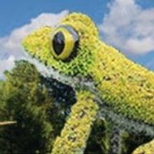 IMAGINARY WORLDS Sculptures On View at Atlanta Botanical Garden, May-October