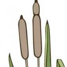 Reedy Point Players Now Accepting Play Submissions for 2014-15 Season