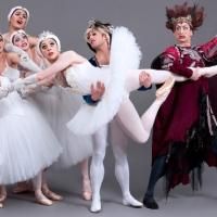 Spring Into Dance and Performing Arts at NJ PAC