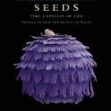 Wolfgang Stuppy & Rob Kesseler Release SEEDS