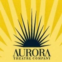 Aurora Theatre Company Raises More Than $200,000 at Aurora Borealis