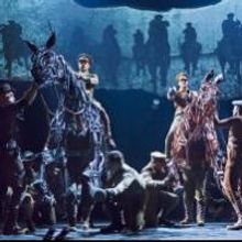 BWW Review: Stunning and Touching WAR HORSE Plays the Fox Theatre