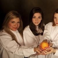 Obsidian Art Space's production of WHAT EVERY GIRL SHOULD KNOW is Provocative and Imm Photo