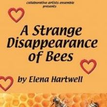 Collaborative Artists Ensemble presents West Coast Premiere of Elena Hartwell's 'A St