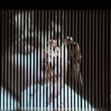 Big Dance Theater to Return to BAM with U.S. Debut of ALAN SMITHEE DIRECTED THIS PLAY