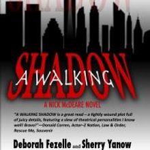 BWW Reviews: A WALKING SHADOW by Fezelle and Yanow Captivates