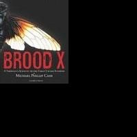 Cicada Invasion Novel Wins First in Literary Awards