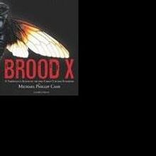 Cicada Invasion Novel Wins First in Literary Awards