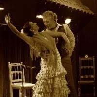 Flamenco Dinner Theater at El Cid Kicks Off Feb 2014 Lineup