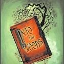 Public's INTO THE WOODS Headed to Broadway's Al Hirschfeld Theatre?