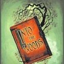 Public's INTO THE WOODS Headed to Broadway's Al Hirschfeld Theatre?