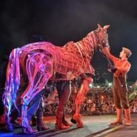 Photo Flash: WAR HORSE's Joey Comes to BBC's Proms in the Park