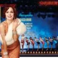 BWW Reviews: Delightful 42ND STREET Lights Up the Stratford Stage Photo