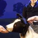 BWW Reviews: GOODNIGHT MISTER TOM, Phoenix Theatre, December 27 2012