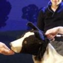 BWW Reviews: GOODNIGHT MISTER TOM, Phoenix Theatre, December 27 2012