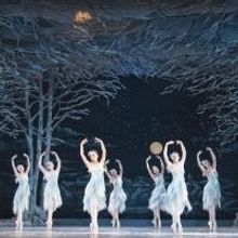 The Washington Ballet Hosts Military Appreciation Night Tonight