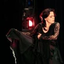 BWW Review: Soledad Barrio and Noche Flamenca at The Joyce