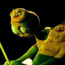 FISH PIE to Premiere at Brighton Fringe Festival