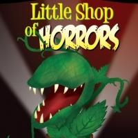 Terrace Plaza Playhouse Presents LITTLE SHOP OF HORRORS, Now thru 11/15