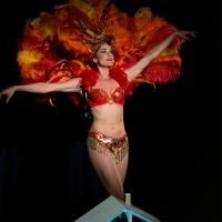 BWW Reviews: A SUBURBAN SHOWGIRL Balances Life and Art