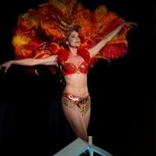 BWW Reviews: A SUBURBAN SHOWGIRL Balances Life and Art