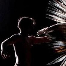 STC & Barking Gecko Theatre Company to Present STORM BOY