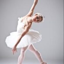 Oklahoma City Ballet Presents SWAN LAKE, Now thru 4/21