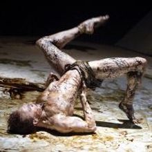 BWW Reviews: The METAMORPHOSIS