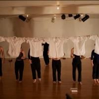 Links Hall Presents CORE OF THE PUDEL at Spring 2013 LinkUp Showcase, Now thru 3/25