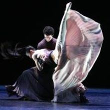 BWW Reviews: Legacy of the Myth: Martha Graham Dance Company