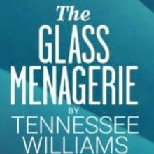 Tickets Now on Sale for THE GLASS MENAGERIE on Broadway!