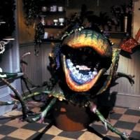 Rick Moranis To Make Appearance at BAM's LITTLE SHOP OF HORRORS Sing-Along, 10/25