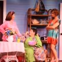 BWW Reviews: Broadway Palm Swims to Laughs with DIXIE SWIM CLUB